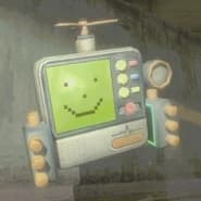 Defibro
