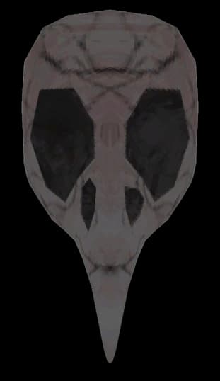 Bird Skull