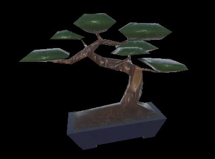Bonsai Tree
