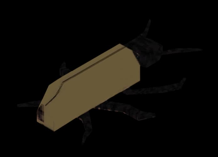 Bug