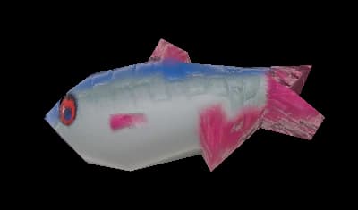 Fish
