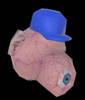 Flesh Blob