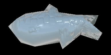 Silver Fish