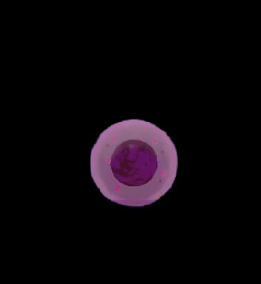 Small Enemy Valuable
