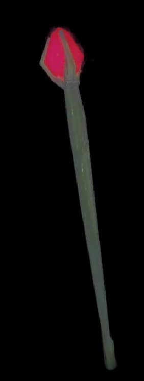 Wizard Staff