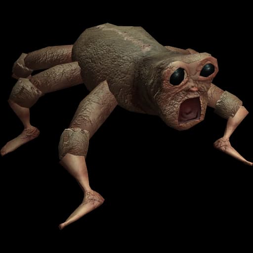 Animal