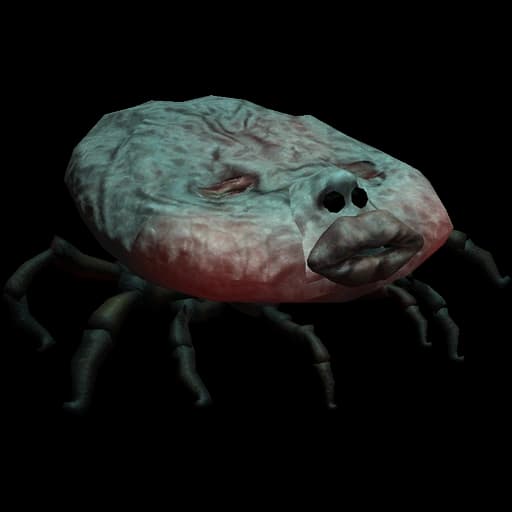 Tick